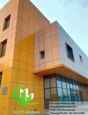 Decorazione della facciata architettonica in metallo 3 mm di spessore
