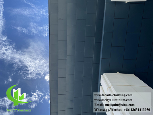 Panelli di metallo per soffitto in alluminio esterno per decorazioni murali dimensione colore può essere personalizzato