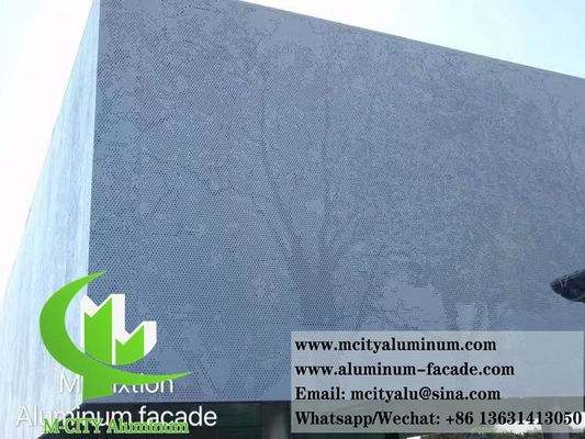 Schermo di metallo perforato per architettura per rivestimenti murali