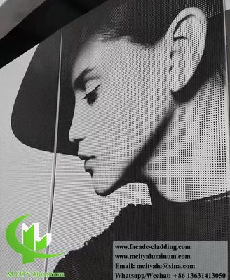Prezzo buono Pannello di facciata di alluminio perforato rivestito in polvere con modelli personalizzabili e spessore di 3 mm per rivestimenti murali in linea